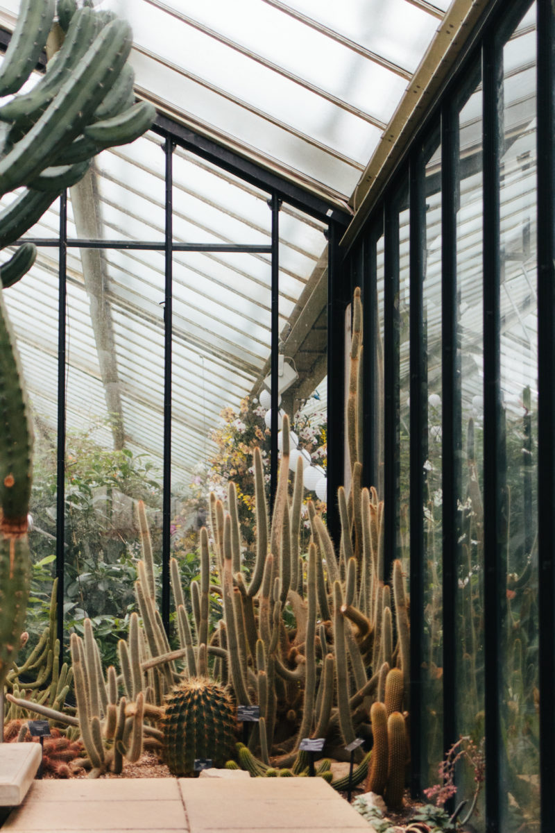 Nives Batistić – Royal Botanic Gardens, Kew